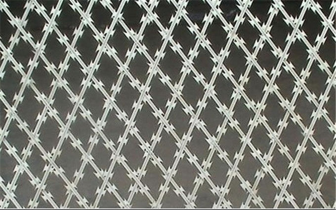 Grillage de prison adapté aux besoins du client par taille, grillage de rasoir pour des bureaux du gouvernement