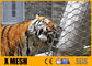 7X19 type fil Mesh For Animal Enclosures Rustproof de zoo de SS316L